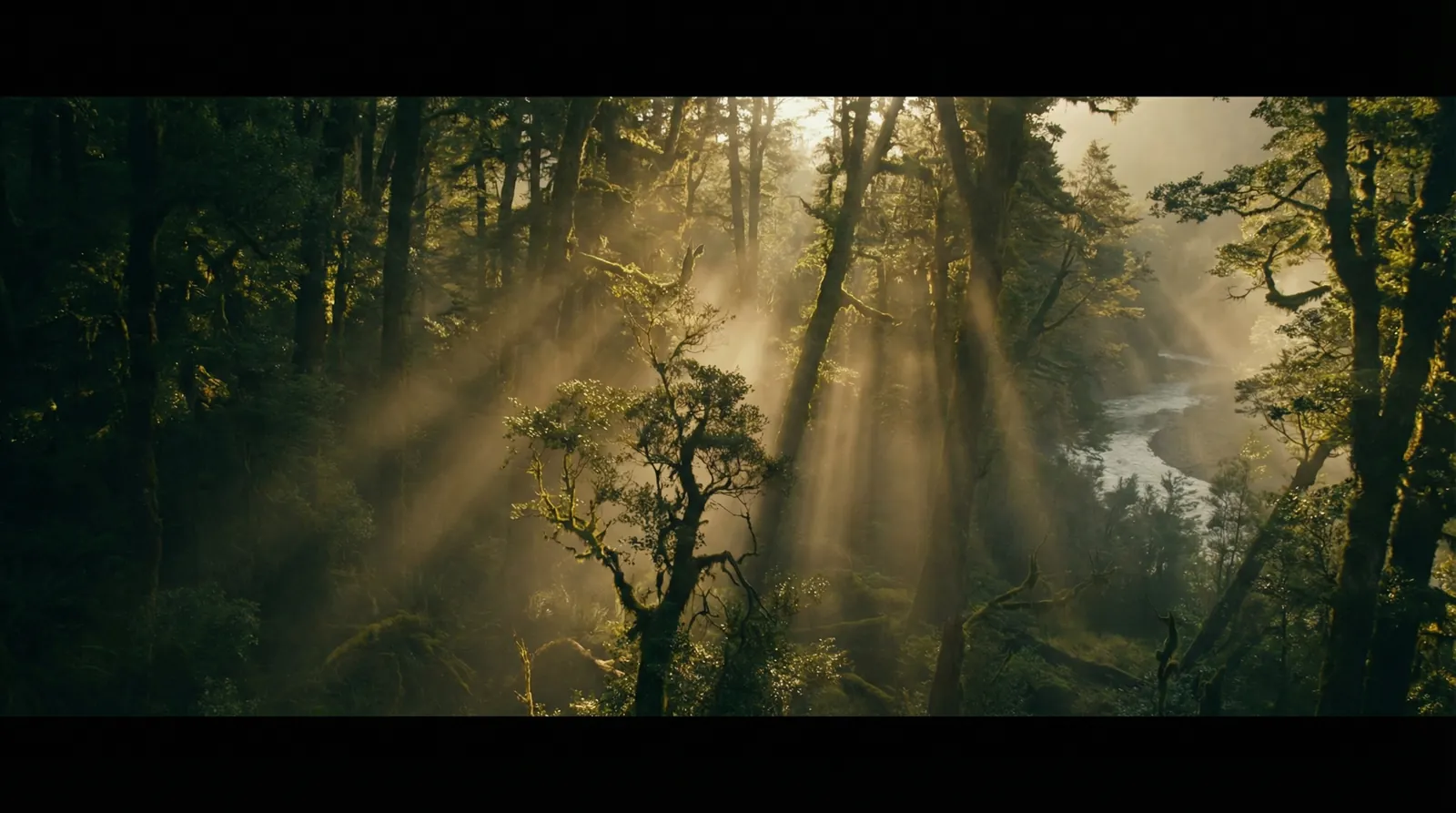 国产视频 自然纪录片风格调色案例